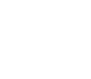 Vigo Consulting