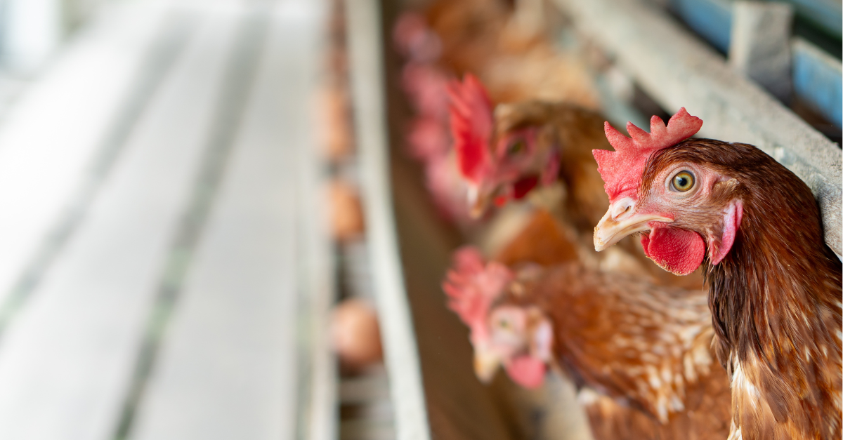 The Month’s Top ESG News